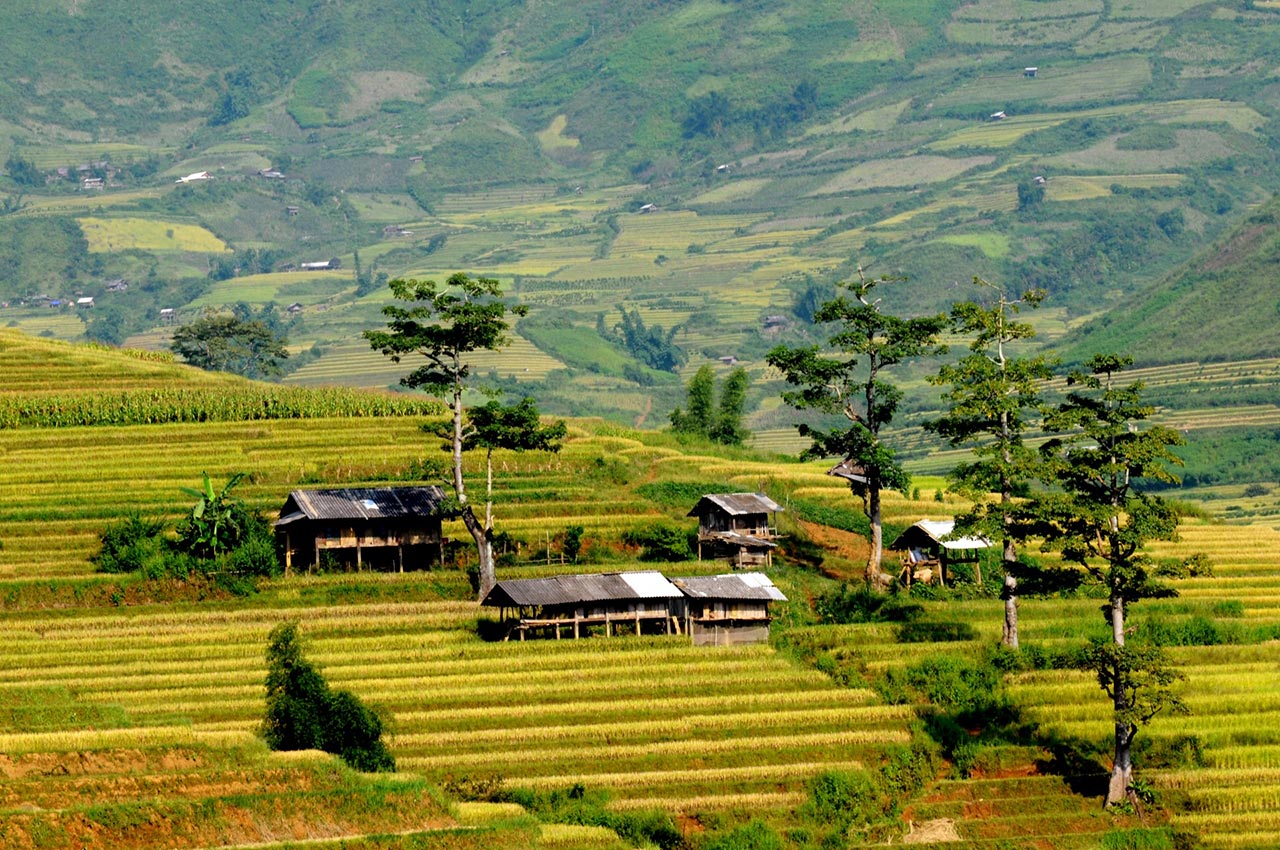 Du Lịch Tây Bắc: Khám Phá Nét Văn Hóa Nhà Sàn Độc Đáo - Ivivu.Com