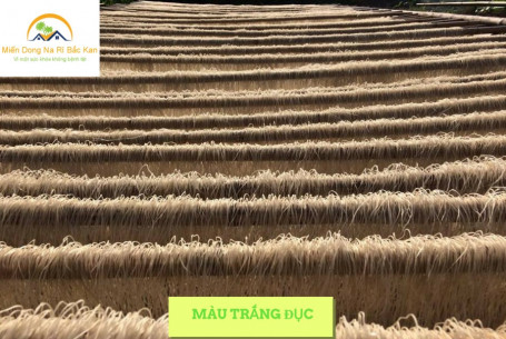 Miến dong Na Rì - Đặc sản Bắc Kạn đậm đà tình quê - iVIVU.com