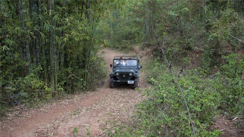 Đi xe Jeep xuyên rừng.