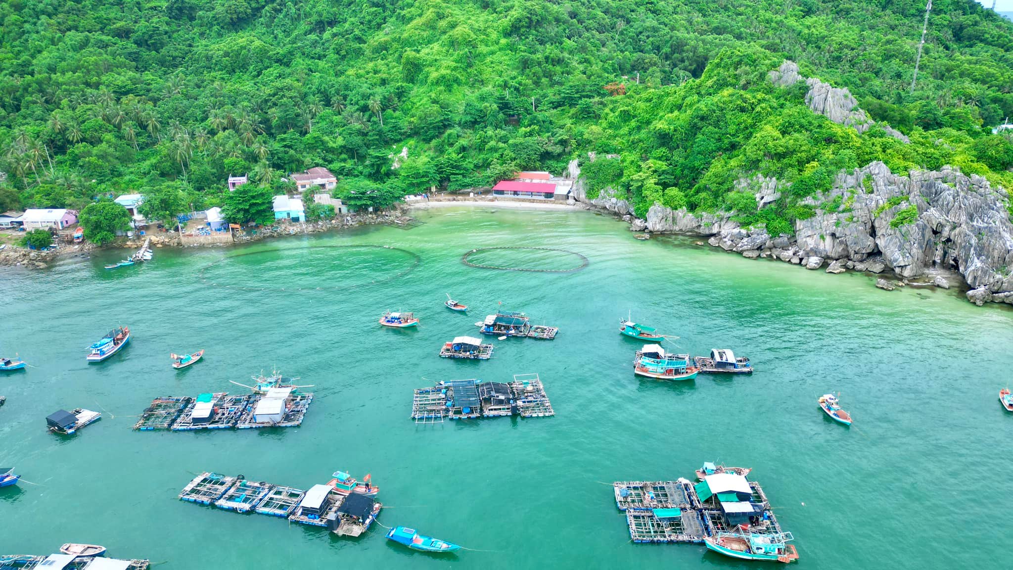 Côn Đảo được bình chọn là hòn đảo kỳ thú nhất thế giới  Điểm đến   Vietnam VietnamPlus