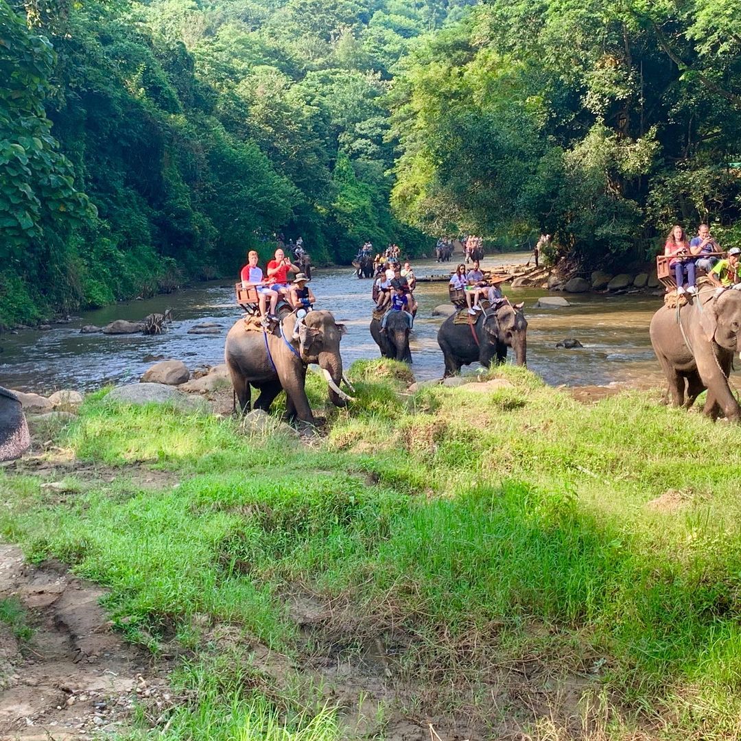 Thiên nhiên tươi đẹp của Chiang Mai - Pai - Mae Hong Son trong tour Thái Lan 5N4Đ - iVIVU.com