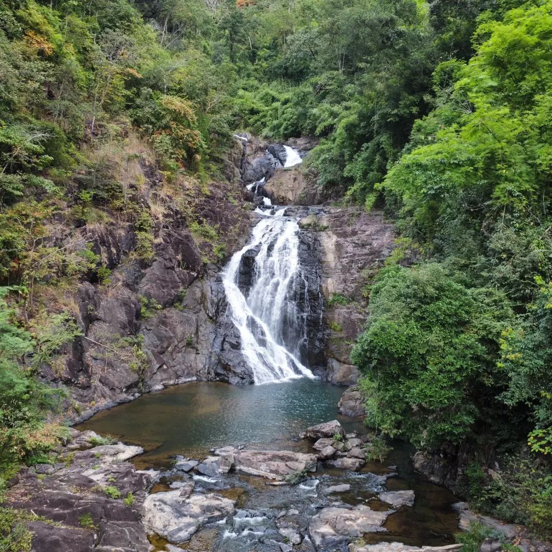 Discover the Enchantment of Virachey National Park - Mytour