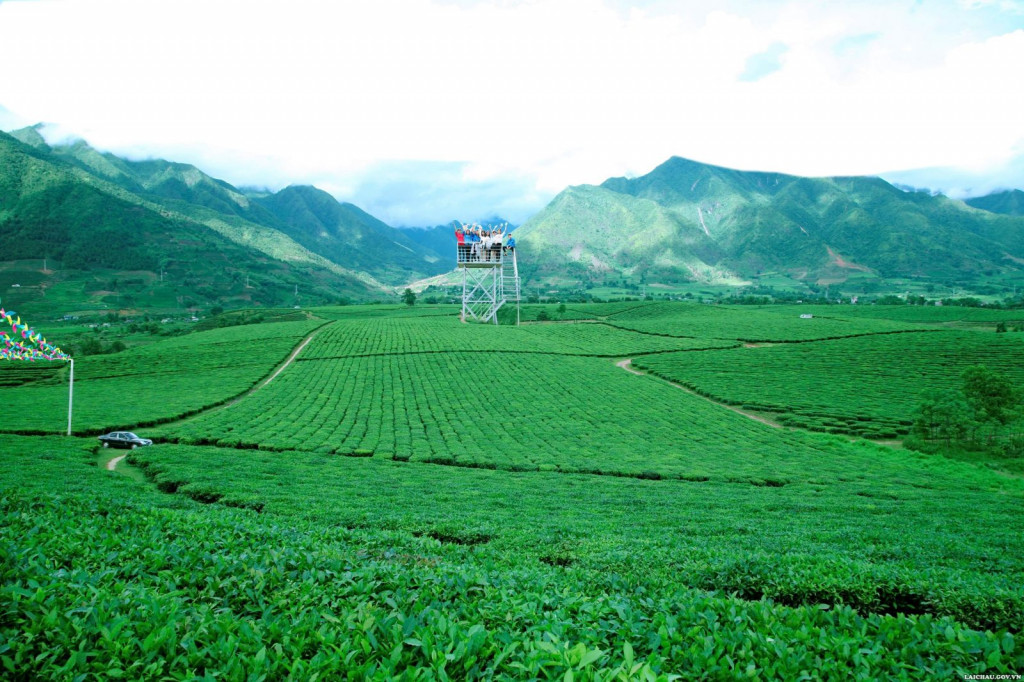 View chụp ảnh đẹp tại đồi chè Tân Uyên Lai Châu