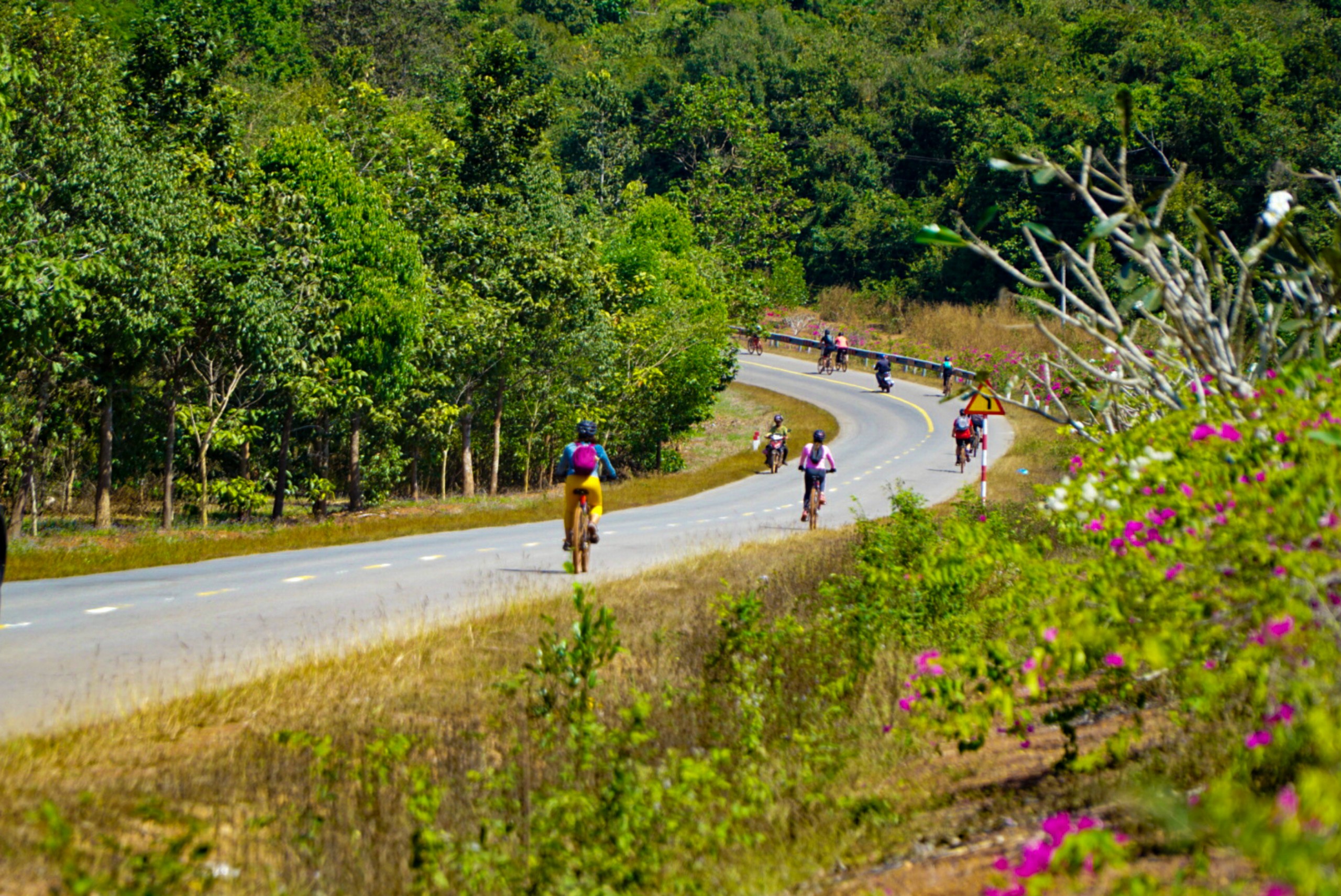 Tour Đồng Nai 2n1Đ Khám Phá Rừng Mã Đà Hồ Trị An Với Nhiều Trải