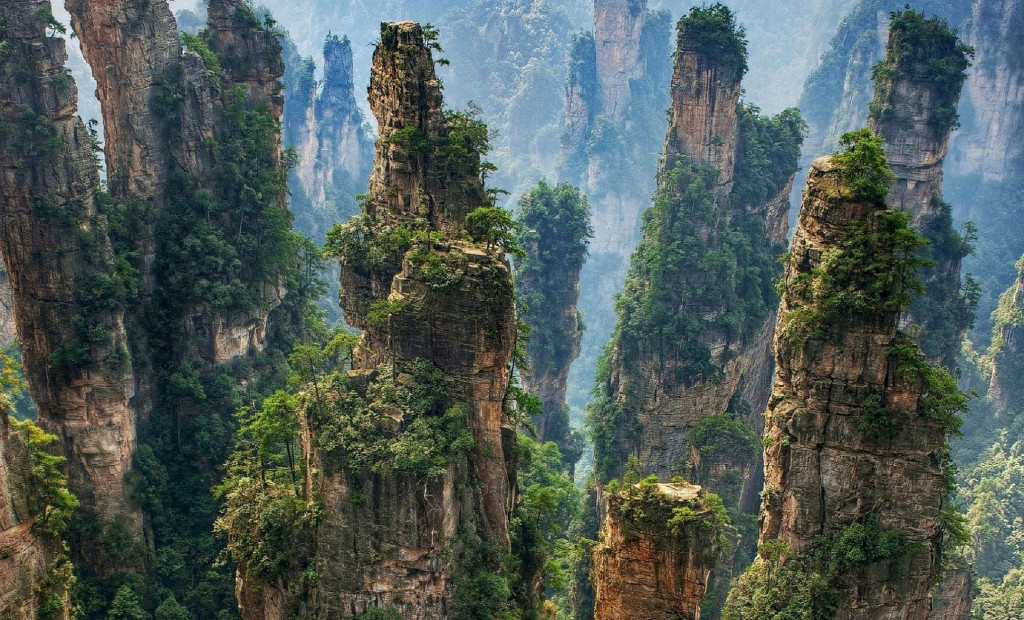 Trương Gia Giới.