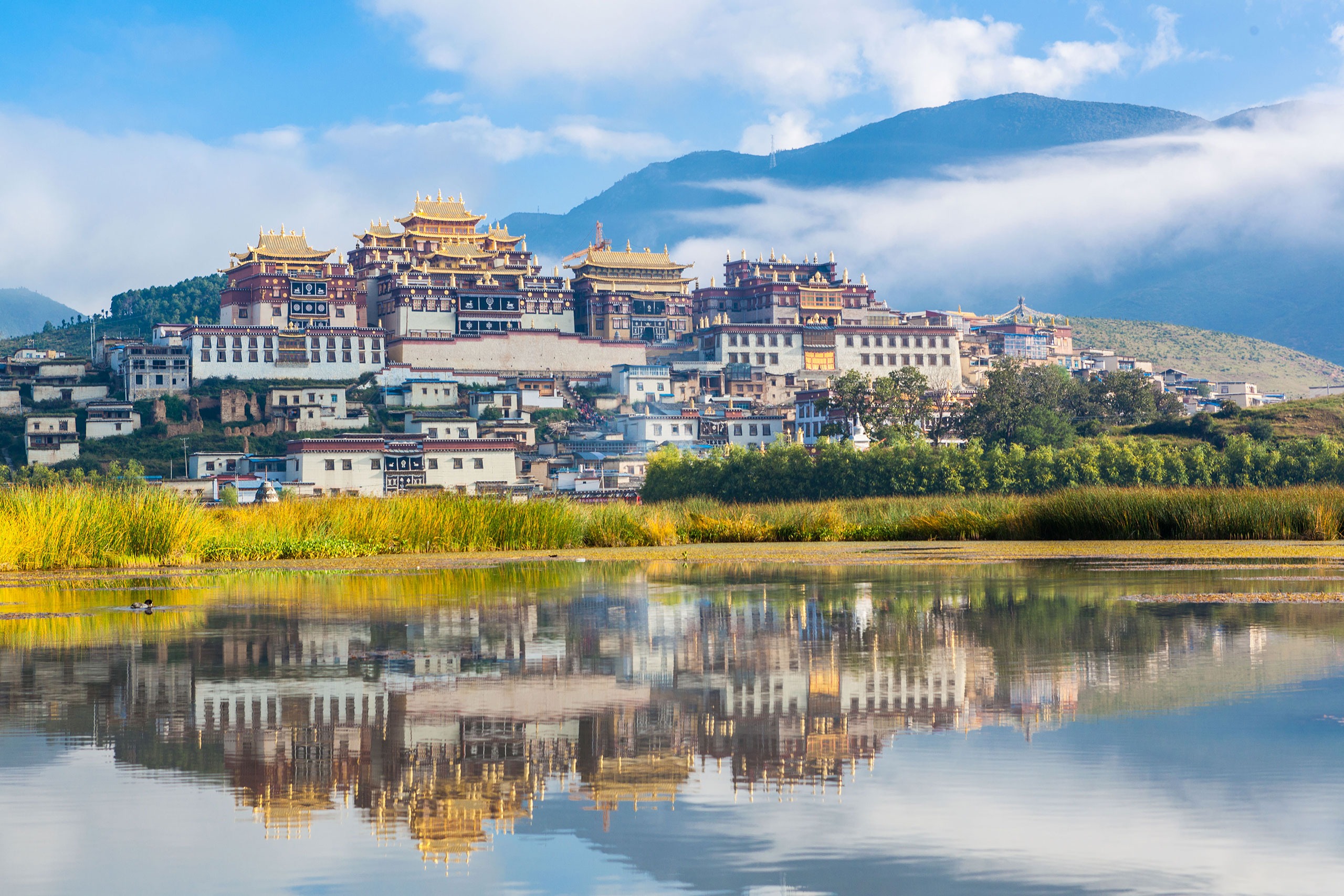 Tu viện Songzanlin - Tu viện Phật giáo Tây Tạng nổi tiếng ở Shangrila - iVIVU.com