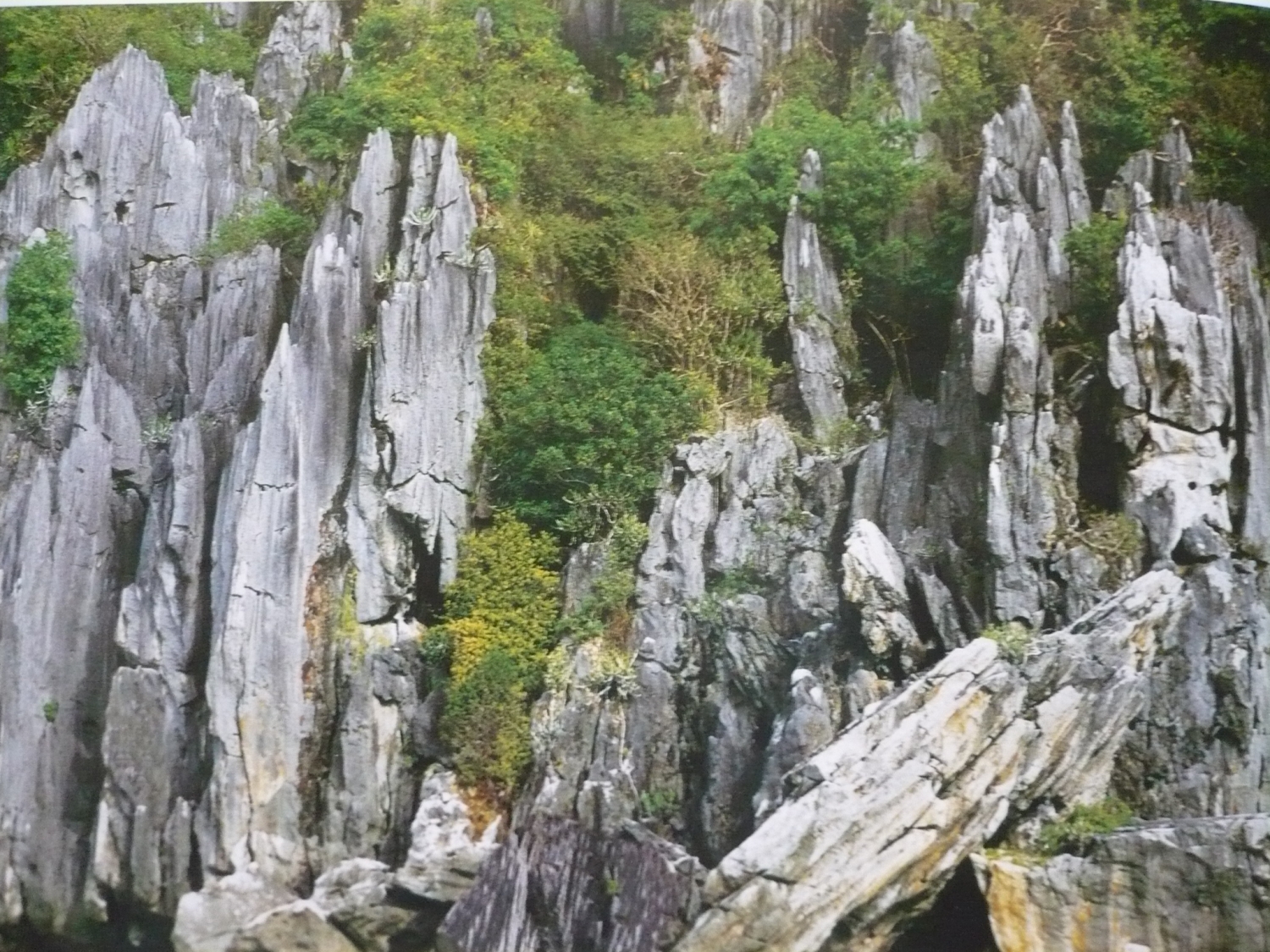 Những khối đá dựng đứng ở hòn Chông. Ảnh: dulich.petrotimes.vn.