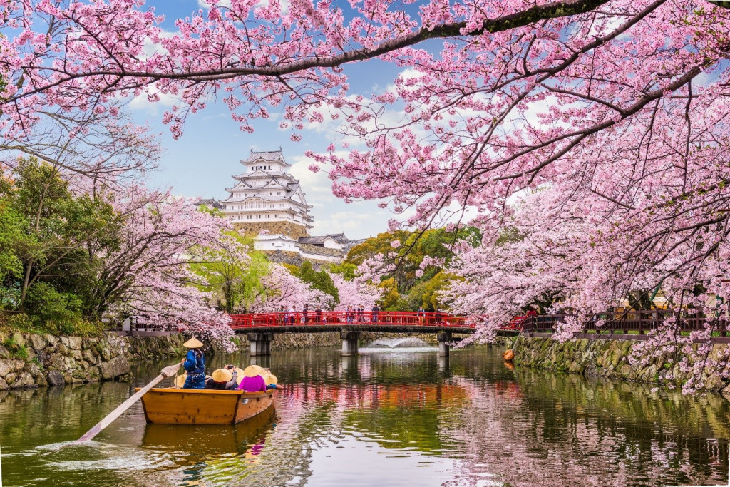 Nhật Bản thu hút du khách bởi những vườn hoa anh đào nở rộ. Ảnh: HD Wallpapers. 