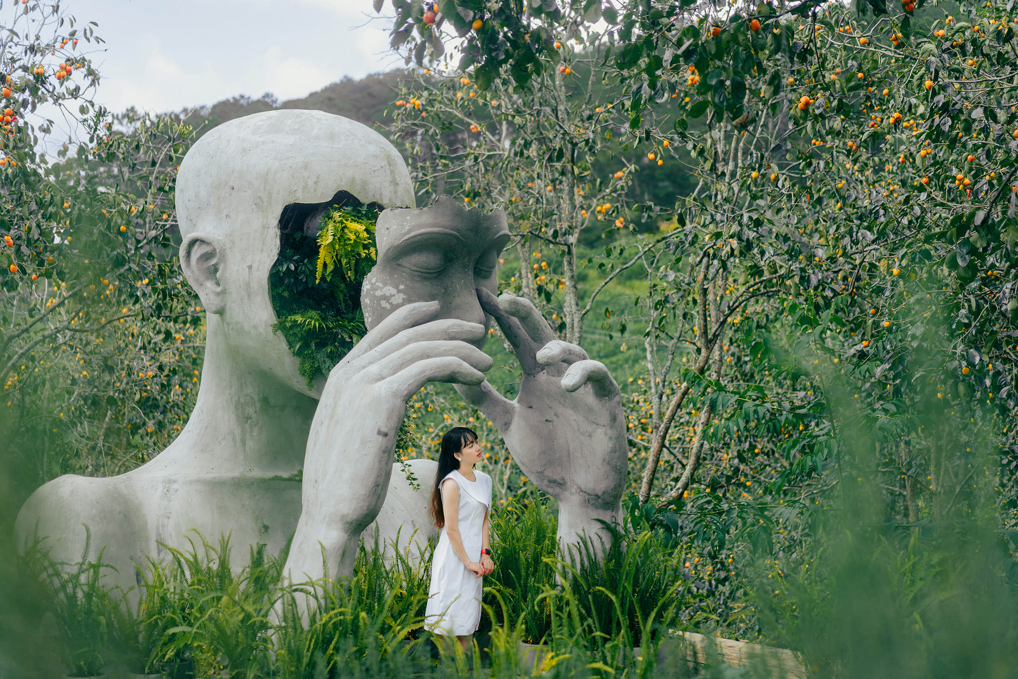 hồng-Đà-Lạt-ivivu-11