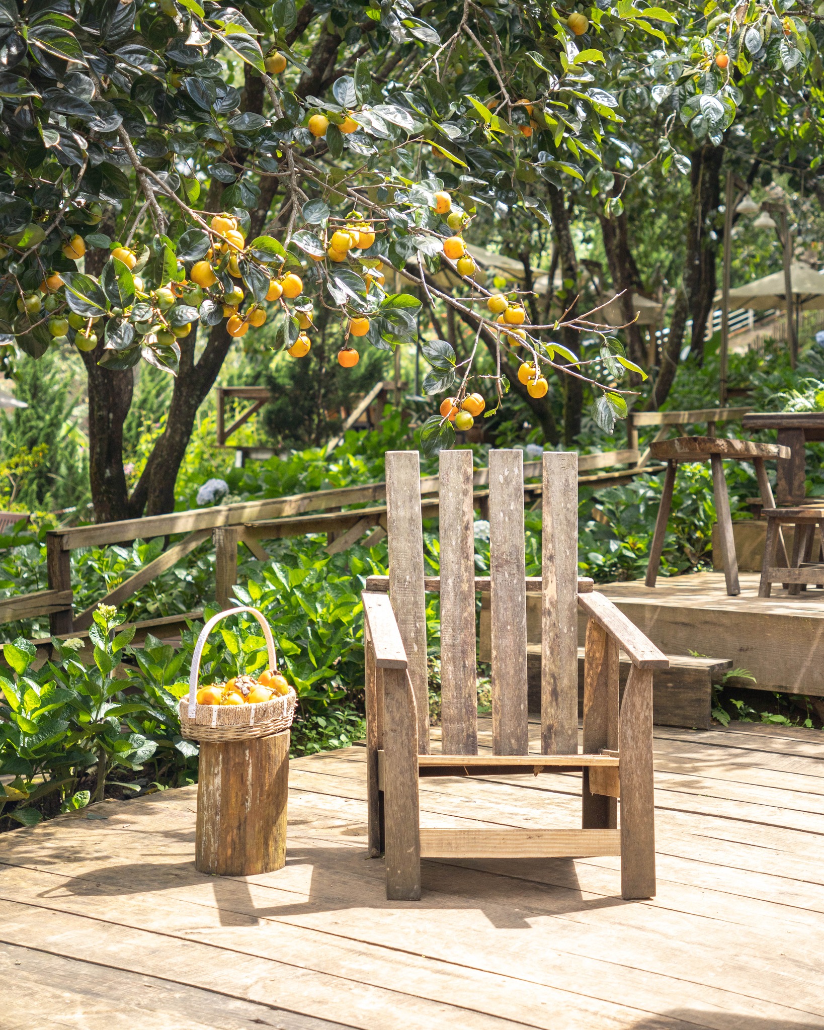 hồng-Đà-Lạt-ivivu-5