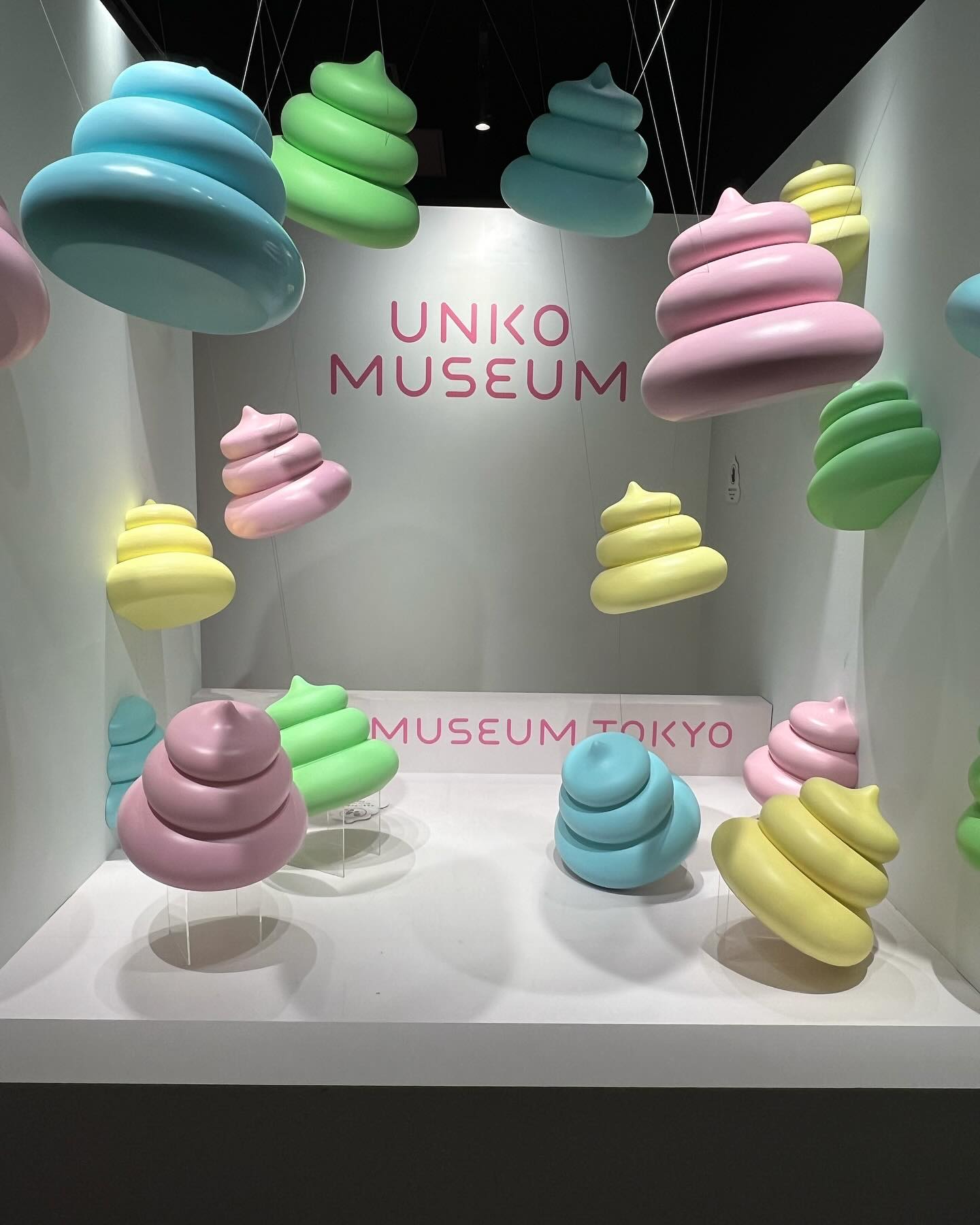 Bảo tàng Unko Tokyo