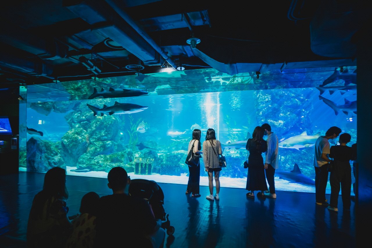 Thế giới kỳ thú tại thủy cung COEX Aquarium, Seoul