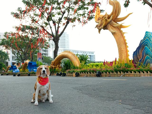 Điểm chụp ảnh Tết đẹp ở Sài Gòn