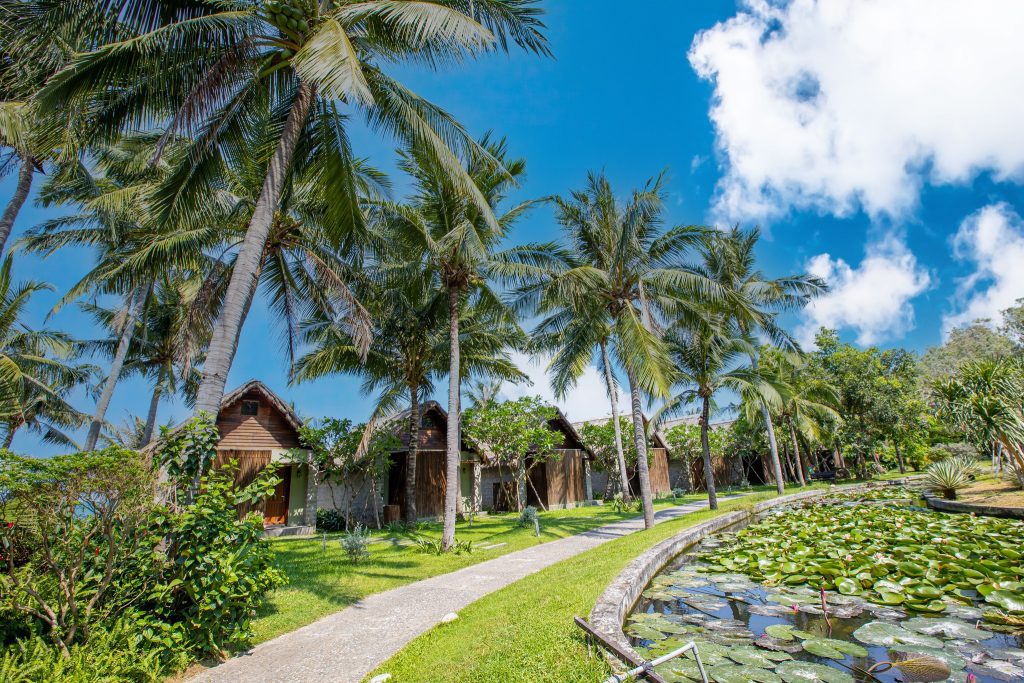 Top 6 combo resort Quy Nhơn giá ưu đãi cho hè 2024 70