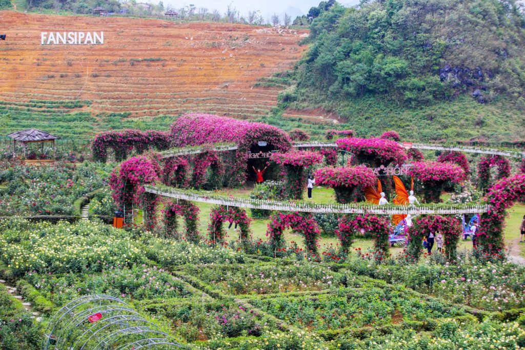 lễ hội Hoa hồng Fansipan