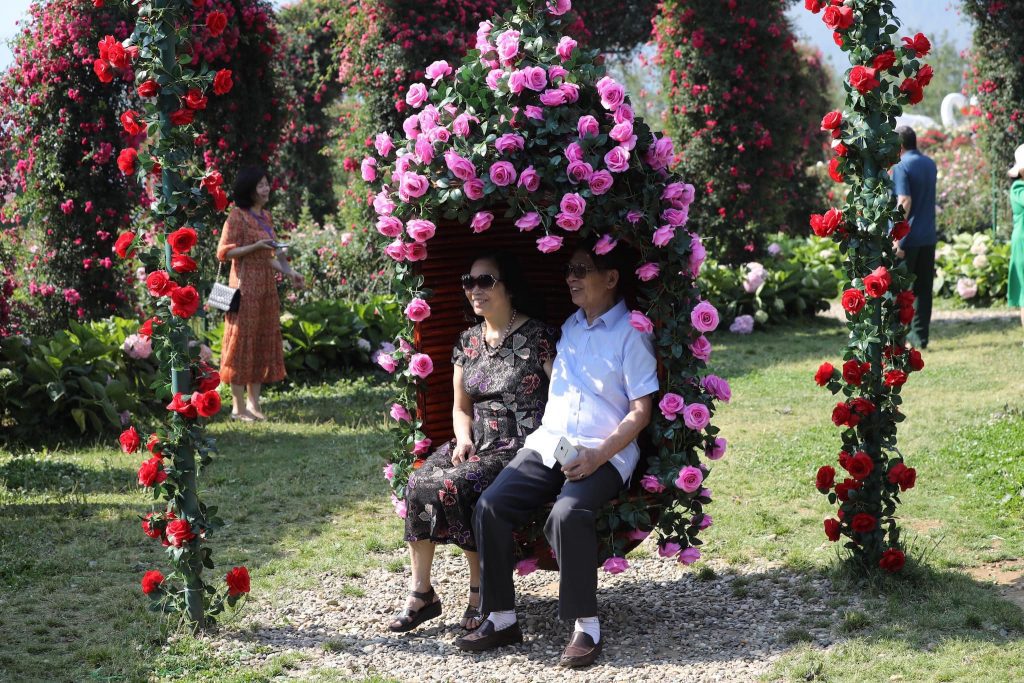 lễ hội Hoa hồng Fansipan