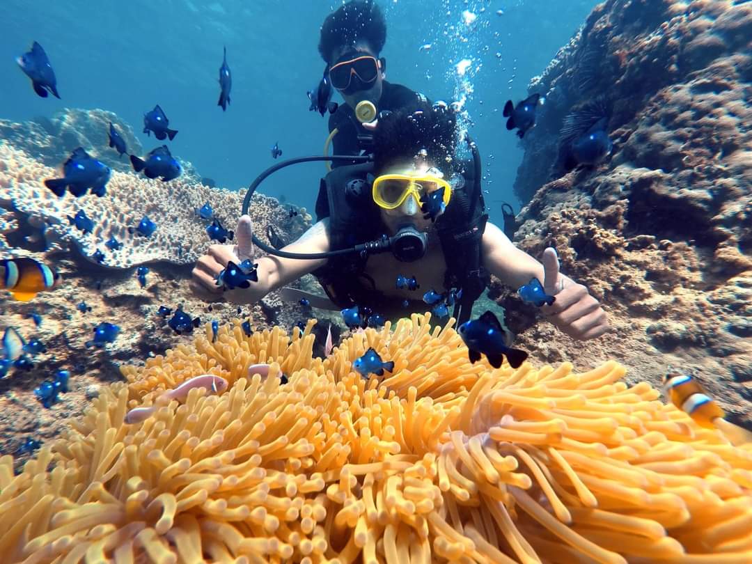 Du lịch Việt Nam: Khám phá 5 vùng biển lặn ngắm san hô nổi tiếng 38
