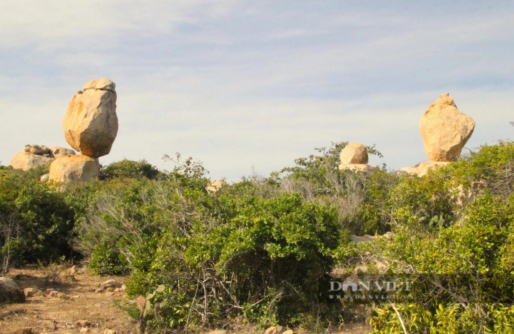 Công viên đá Ninh Thuận – vẻ đẹp hoang sơ của những khối đá hàng triệu năm tuổi 26