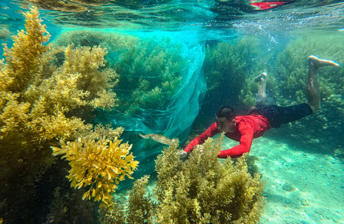 Những điểm lặn biển ngắm san hô đẹp ở Việt Nam từ Bắc xuống Nam 22