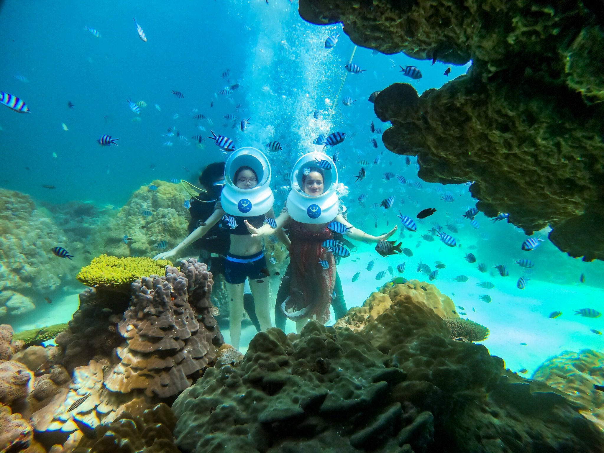 Những điểm lặn biển ngắm san hô đẹp ở Việt Nam từ Bắc xuống Nam 26