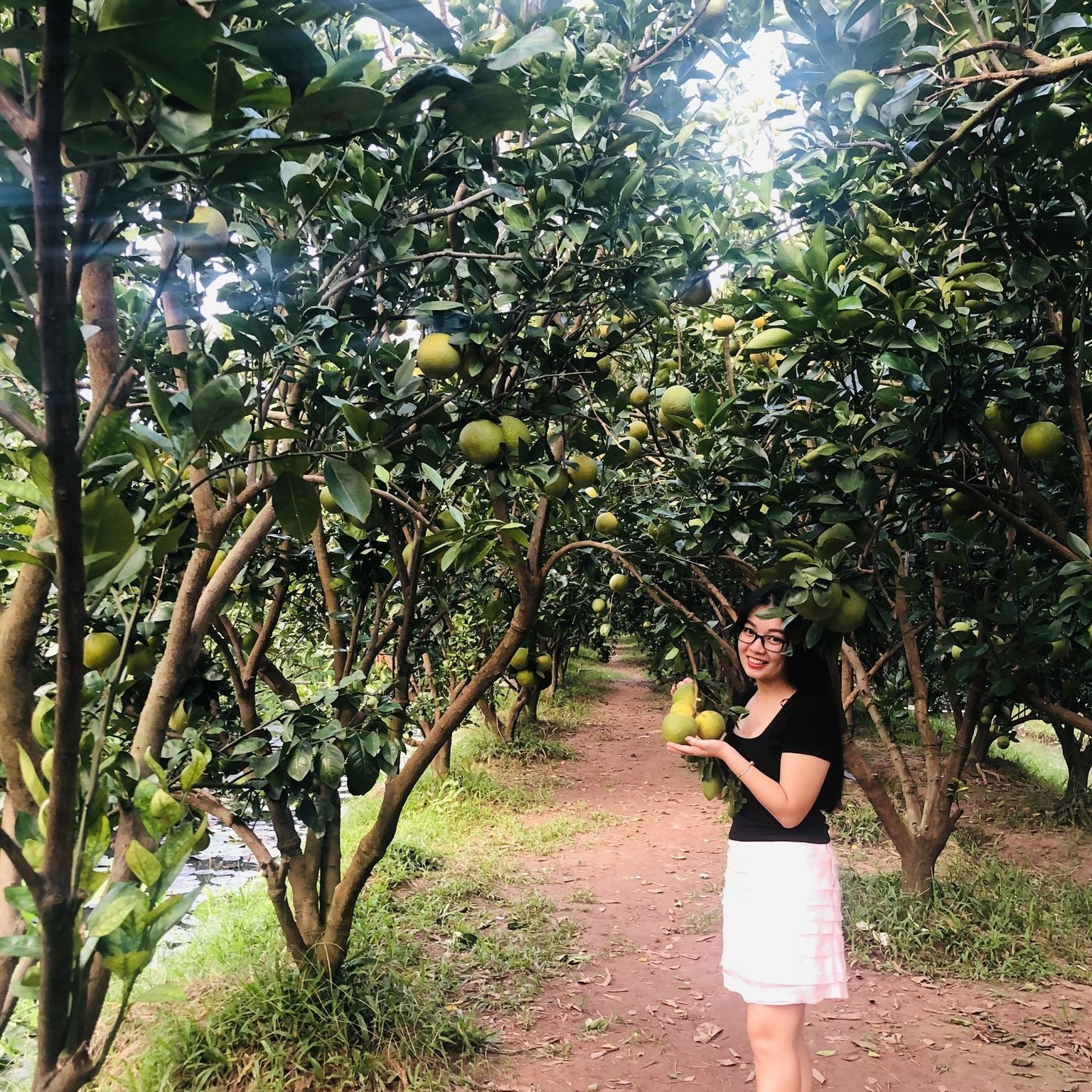 cồn sơn cần thơ