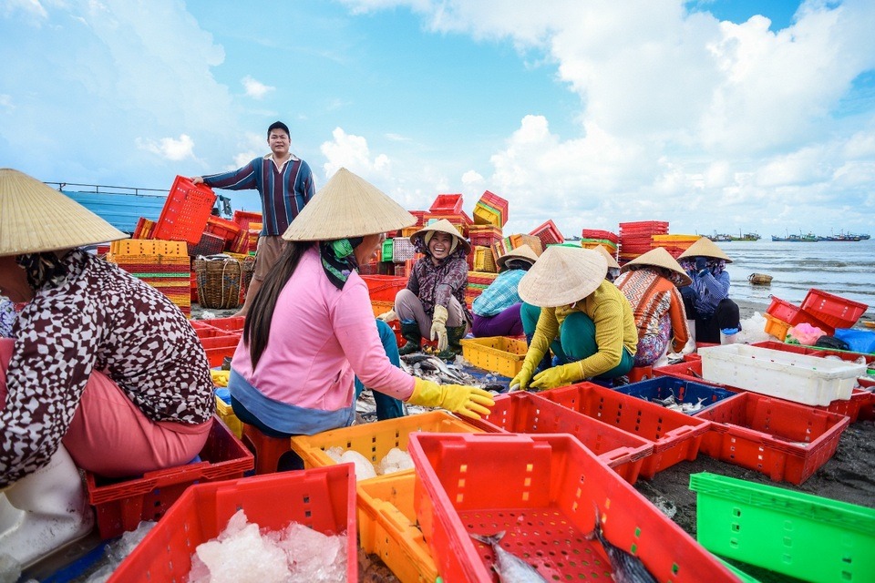 làng chài phước tỉnh