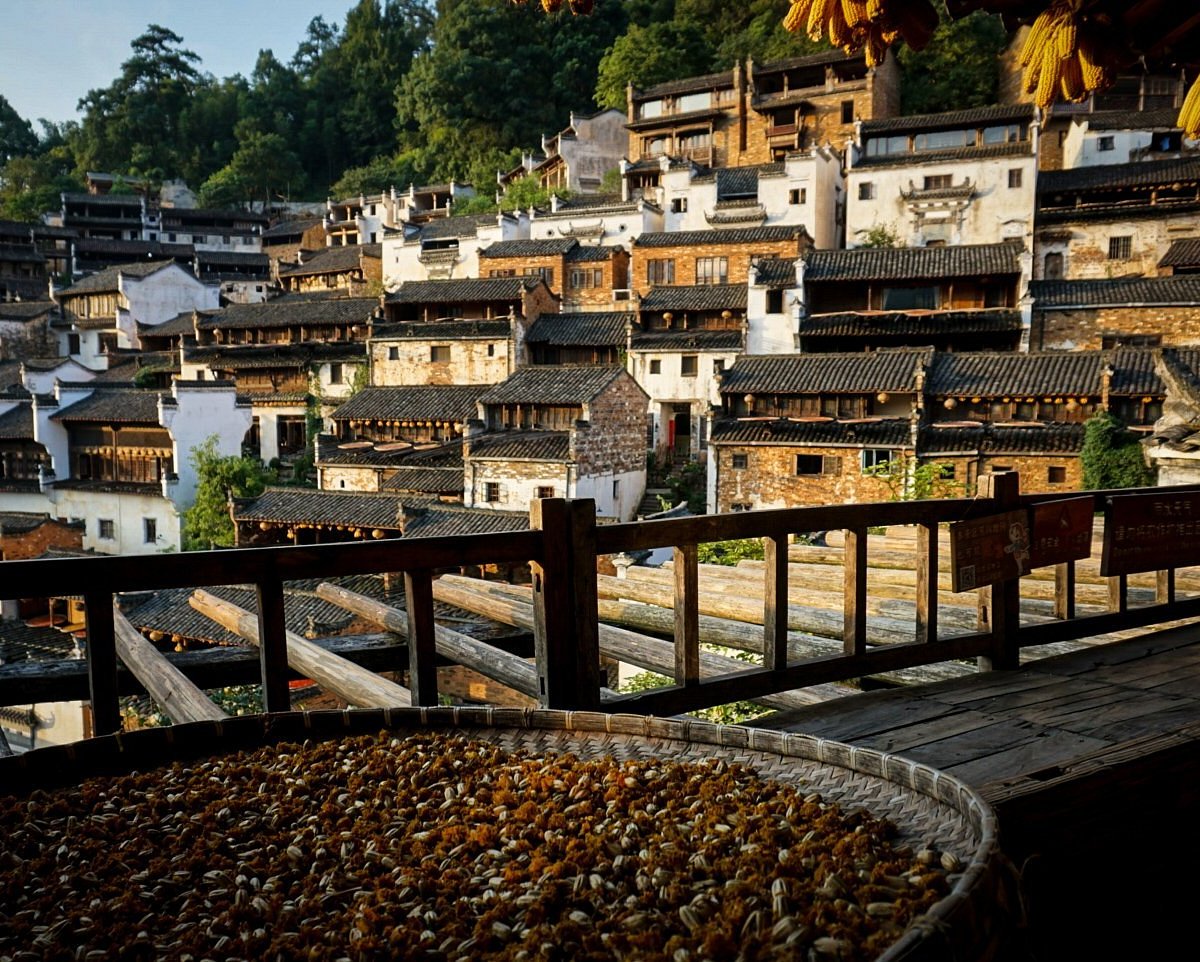 Làng cổ Vụ Nguyên