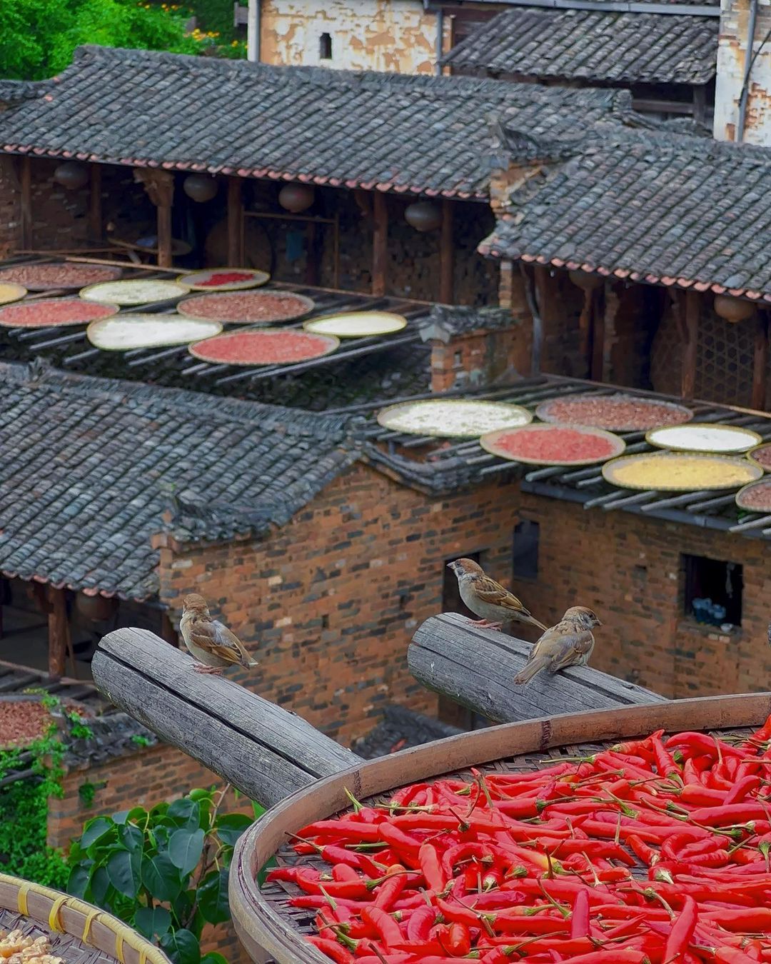 Làng cổ Vụ Nguyên