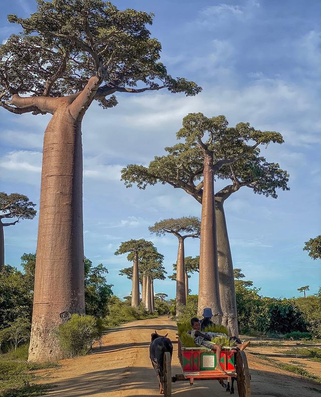 tour độc lạ