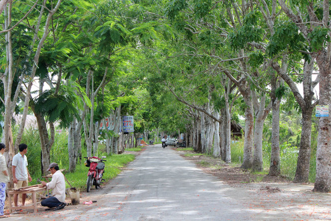 Vườn quốc gia U Minh Thượng – khu ramsar quốc tế độc đáo ở Kiên Giang 49