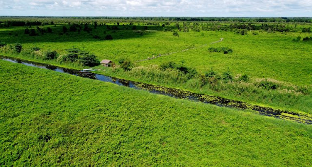 Vườn quốc gia U Minh Thượng – khu ramsar quốc tế độc đáo ở Kiên Giang 51