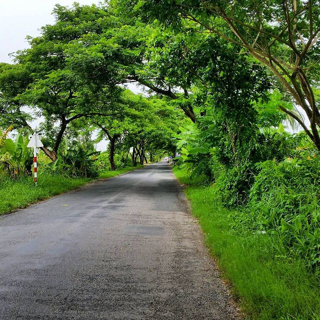 Vườn quốc gia U Minh Thượng – khu ramsar quốc tế độc đáo ở Kiên Giang 55