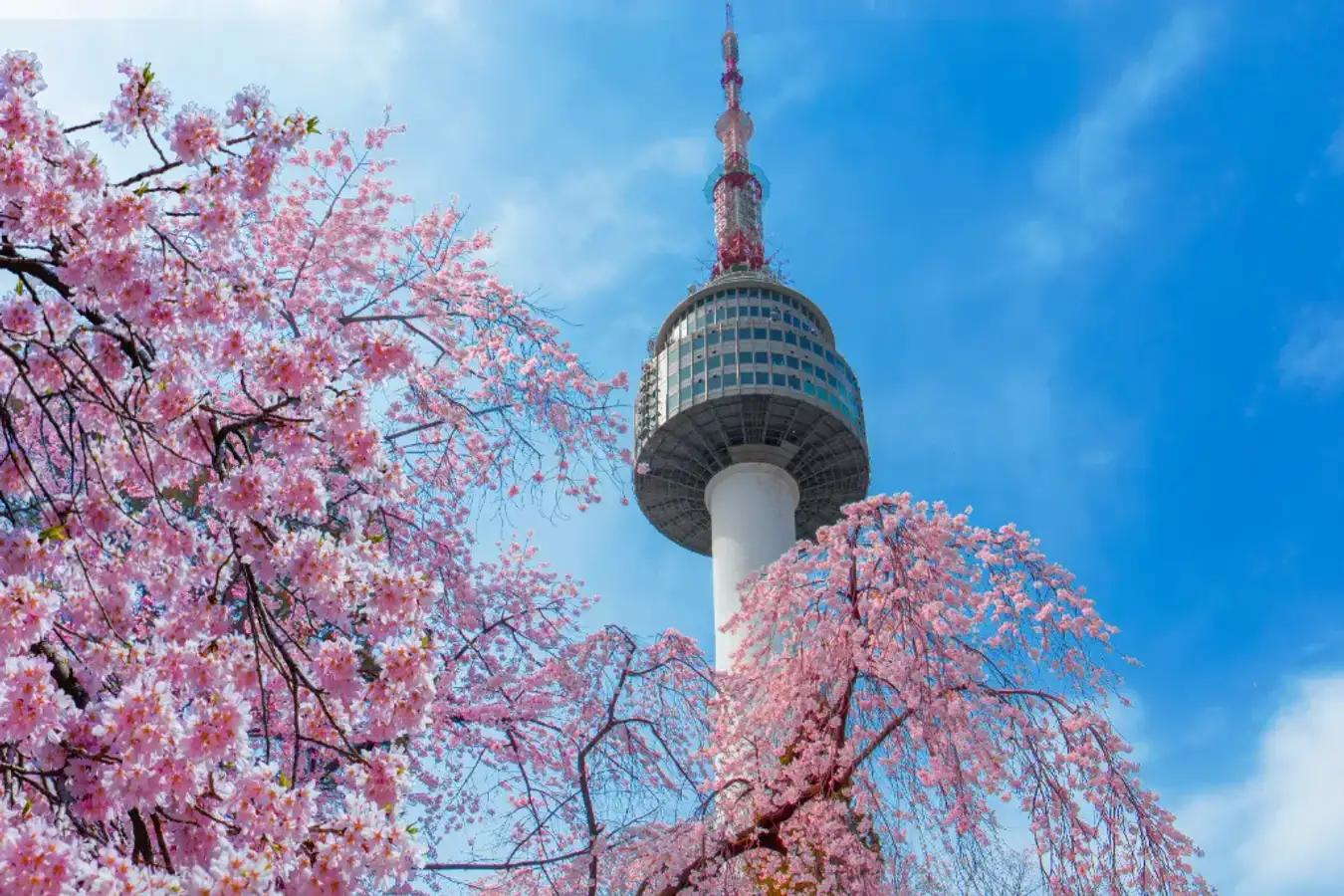 Tháp Namsan là biểu tượng nổi tiếng của Hàn Quốc