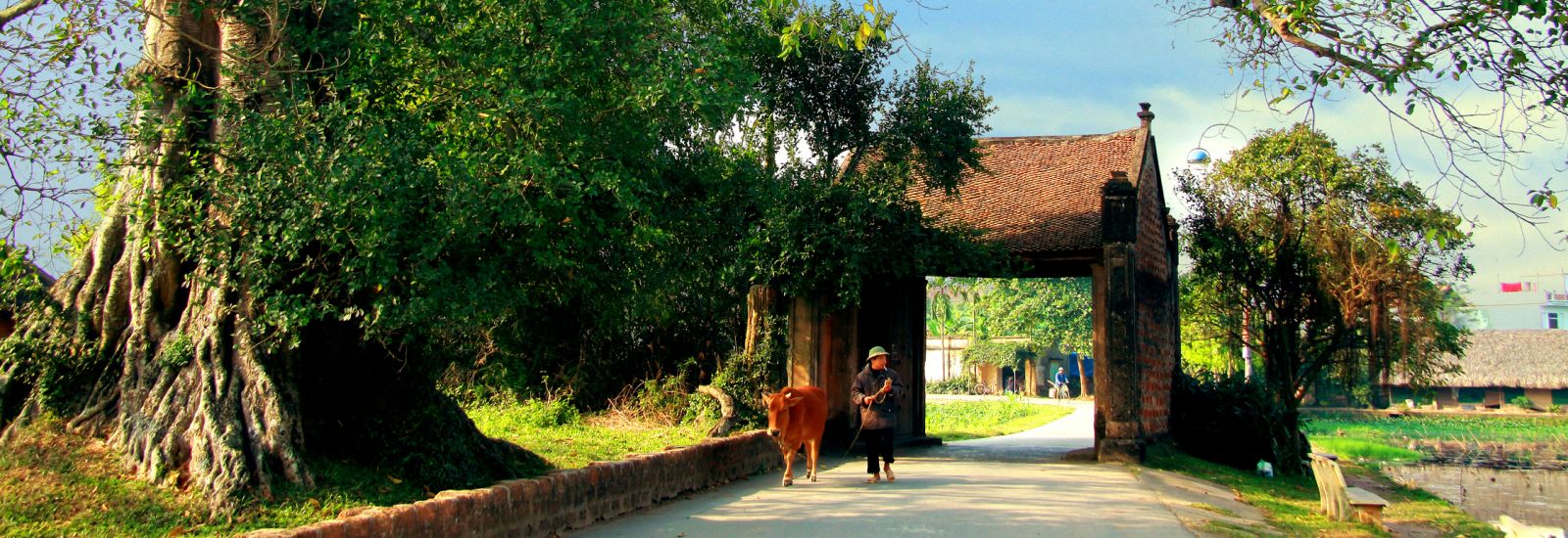 Khung cảnh bình yên thơ mộng.