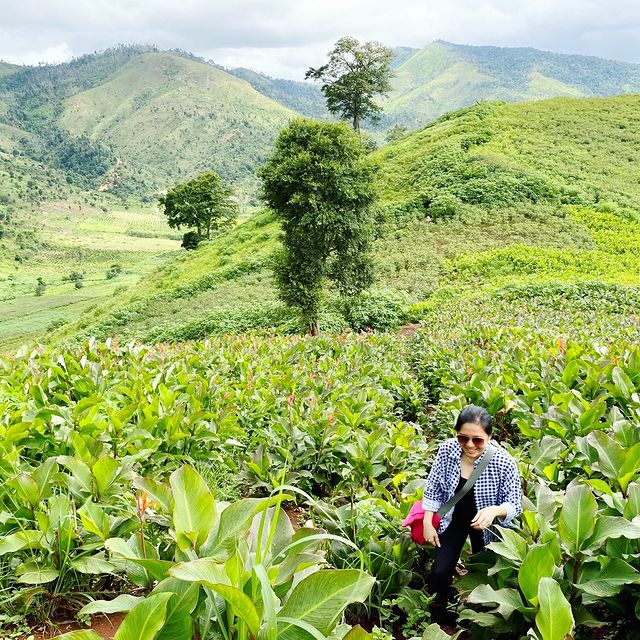 Du lịch Gia Lai đừng quên ghé 12 điểm đến đậm bản sắc Tây Nguyên 68