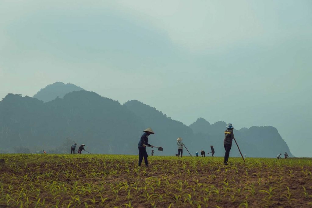 Làng du lịch Tân Hóa, làng du lịch tốt nhất thế giới ở Quảng Bình 48