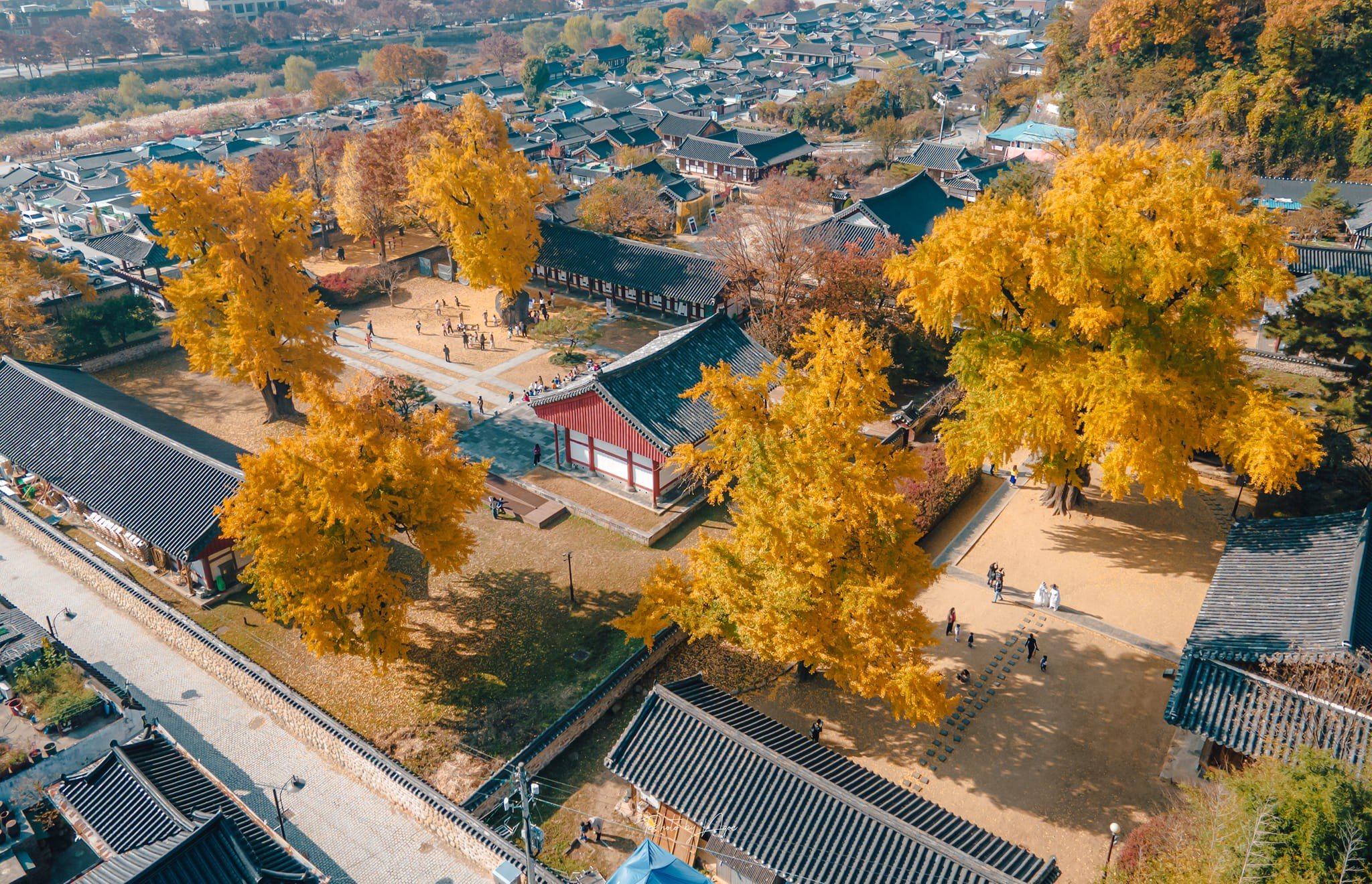 Mùa thu Hàn Quốc rực rỡ ở làng Hanok Jeonju cổ kính