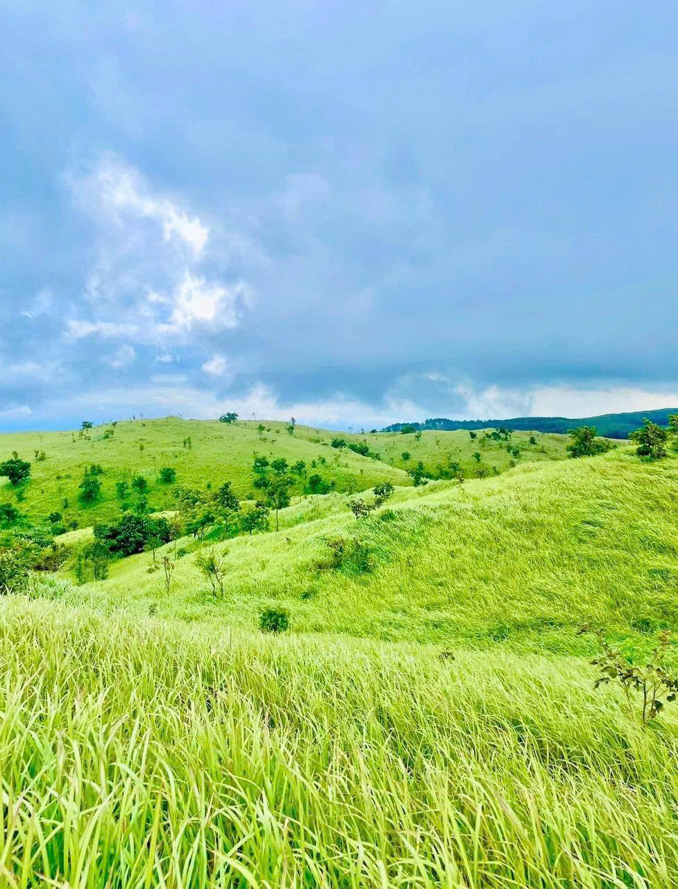 Lạc bước vào thảo nguyên Pal Sol – Hòa mình cùng vẻ đẹp của thiên nhiên 37