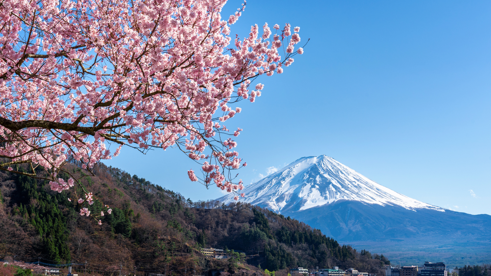 Chuyến du xuân kỳ thú với tour Nhật Bản 6N5Đ (Tết Nguyên đán)
