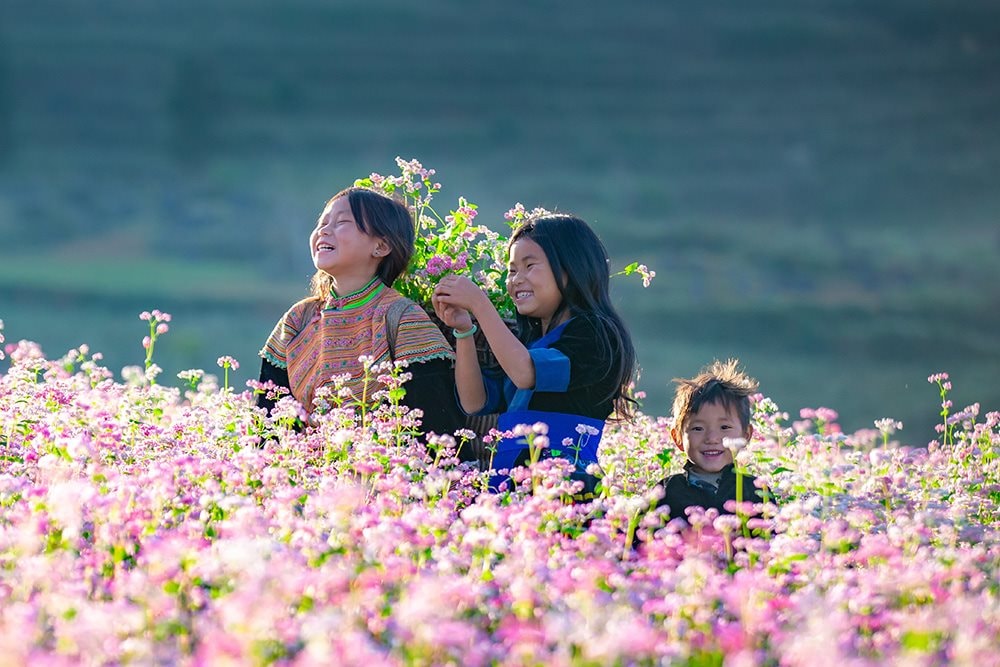 Chào đón lễ hội hoa tam giác mạch 2024 khai mạc vào tháng 11 tại Hà Giang 16