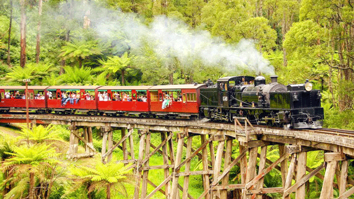 Xe lửa hơi nước Puffing Billy