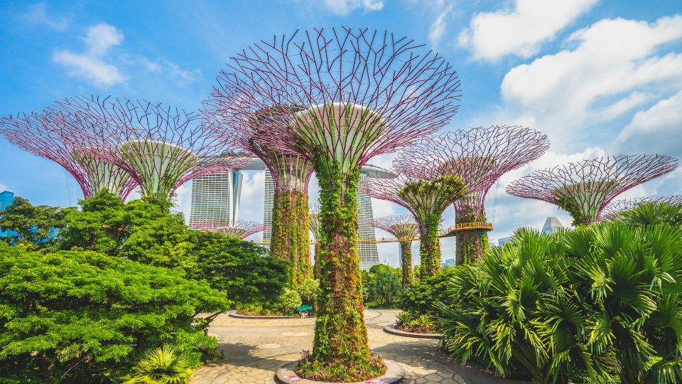 Du lịch Singapore