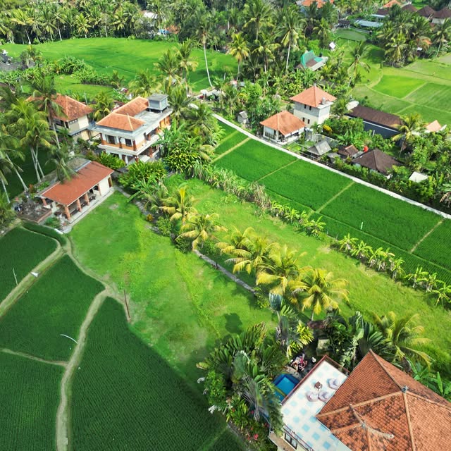 Du lịch Tết 2025