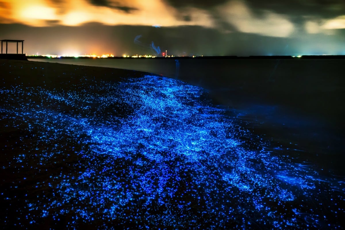 Du lịch Maldives
