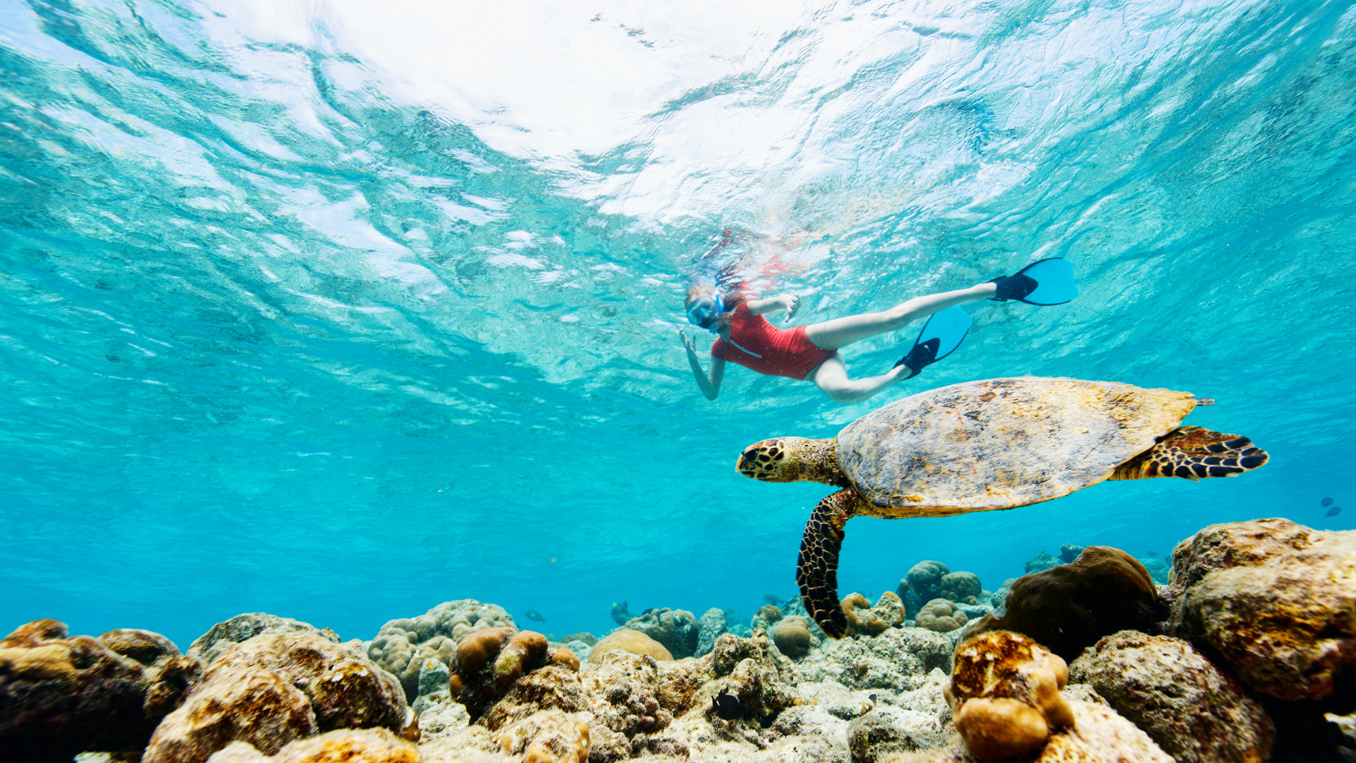 Du lịch Maldives