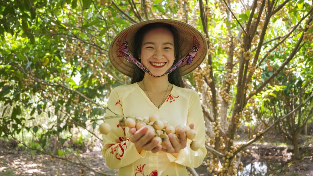 Cần Thơ mùa nào đẹp nhất? Kinh nghiệm du lịch & đặc sản theo mùa Đặc sản dâu Hạ Châu