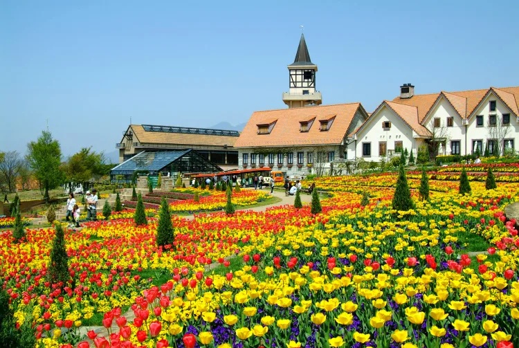 Du khách đắm chìm vào không gian của một ngôi làng cổ kính tại đây