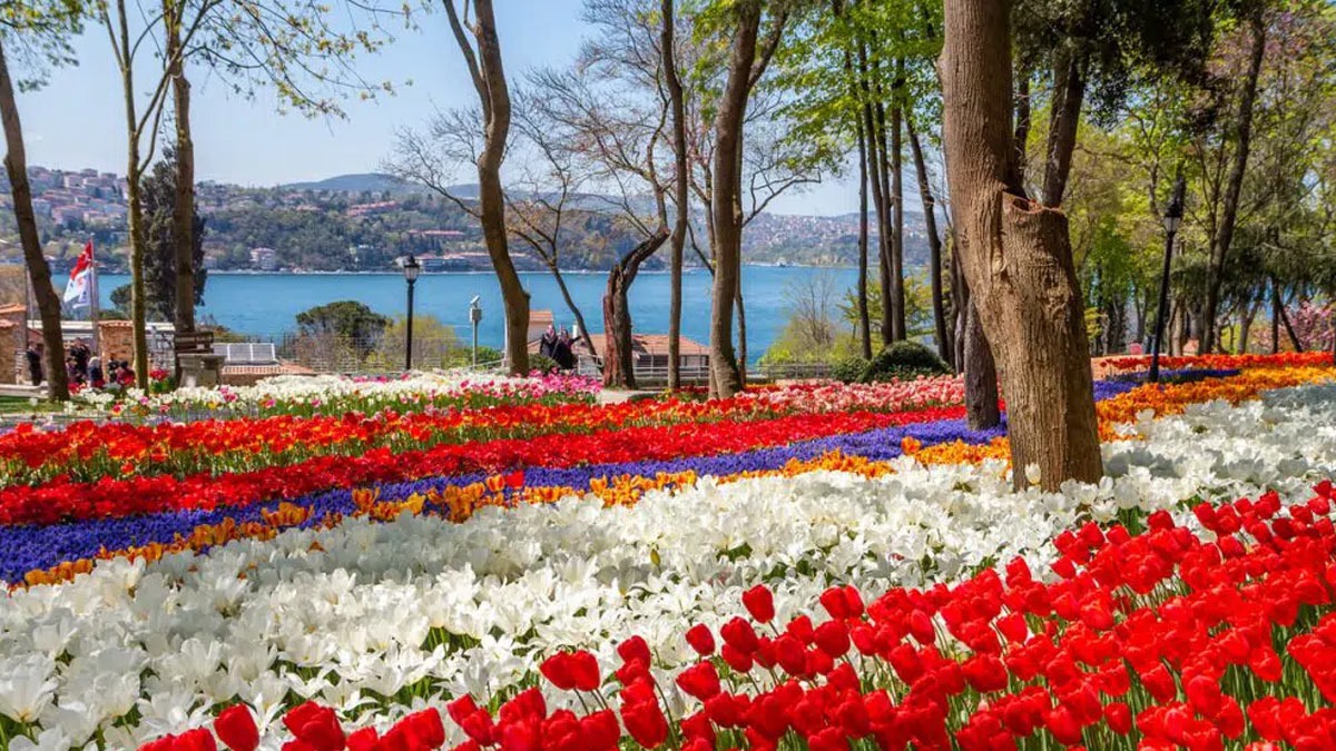 Hoa nở rực rỡ ở công viên Emirgan