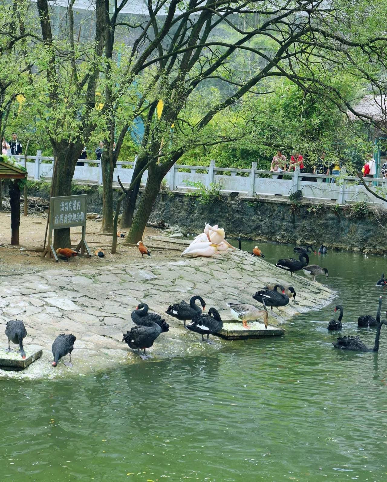 Phong cảnh tại Kiềm Linh Sơn
