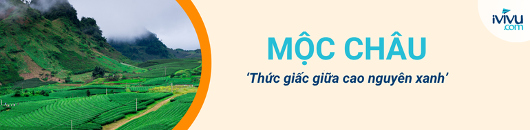 du lịch mộc châu ivivu 